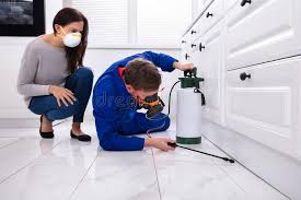 Best Real Estate Pest Inspections  in Sumter, SC